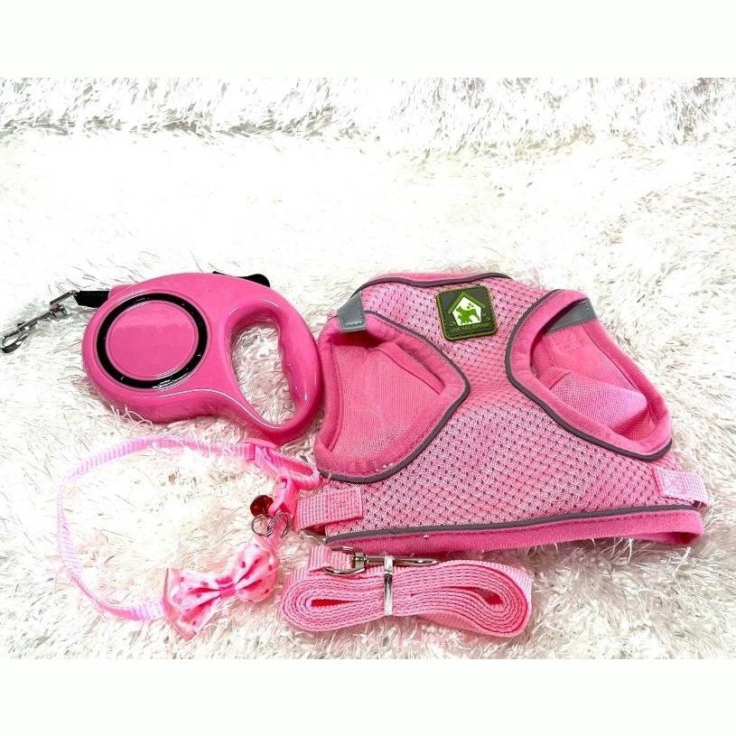 Leash, Collar and harness Set NEW