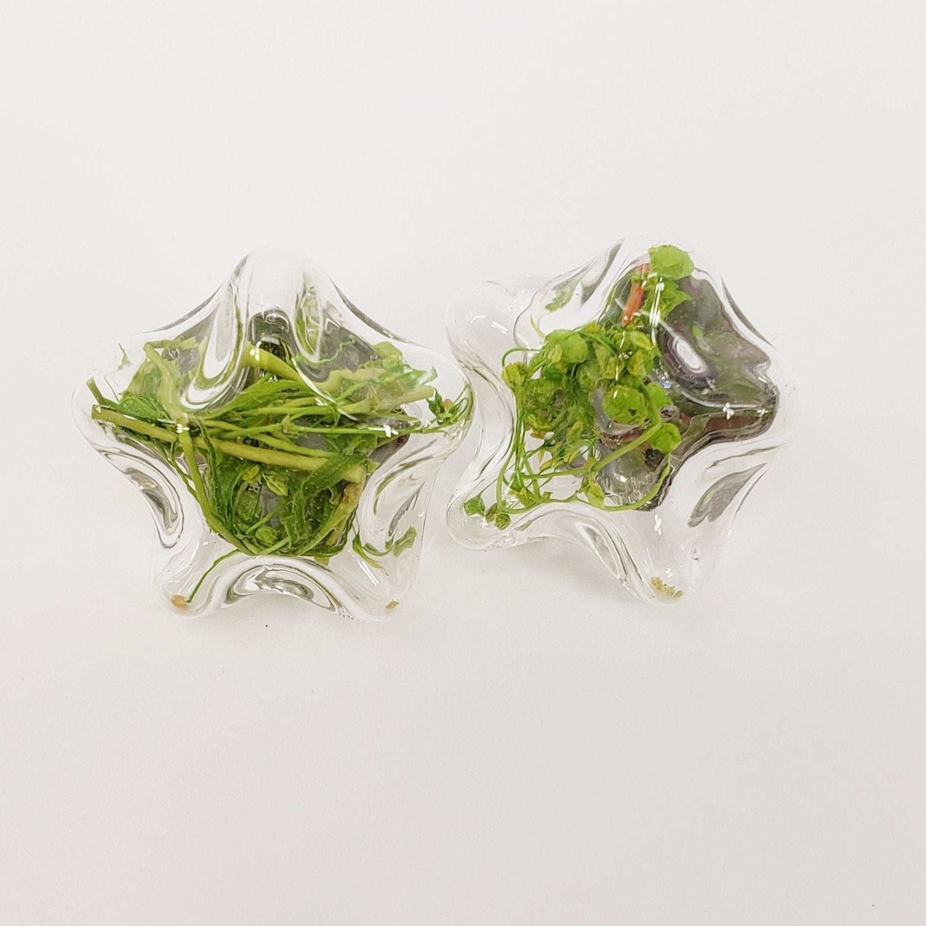 Handmade Transparent Glass Globe Bubble Ear Post Stud Earrings Stars Green Flower - My Custom Tee Party