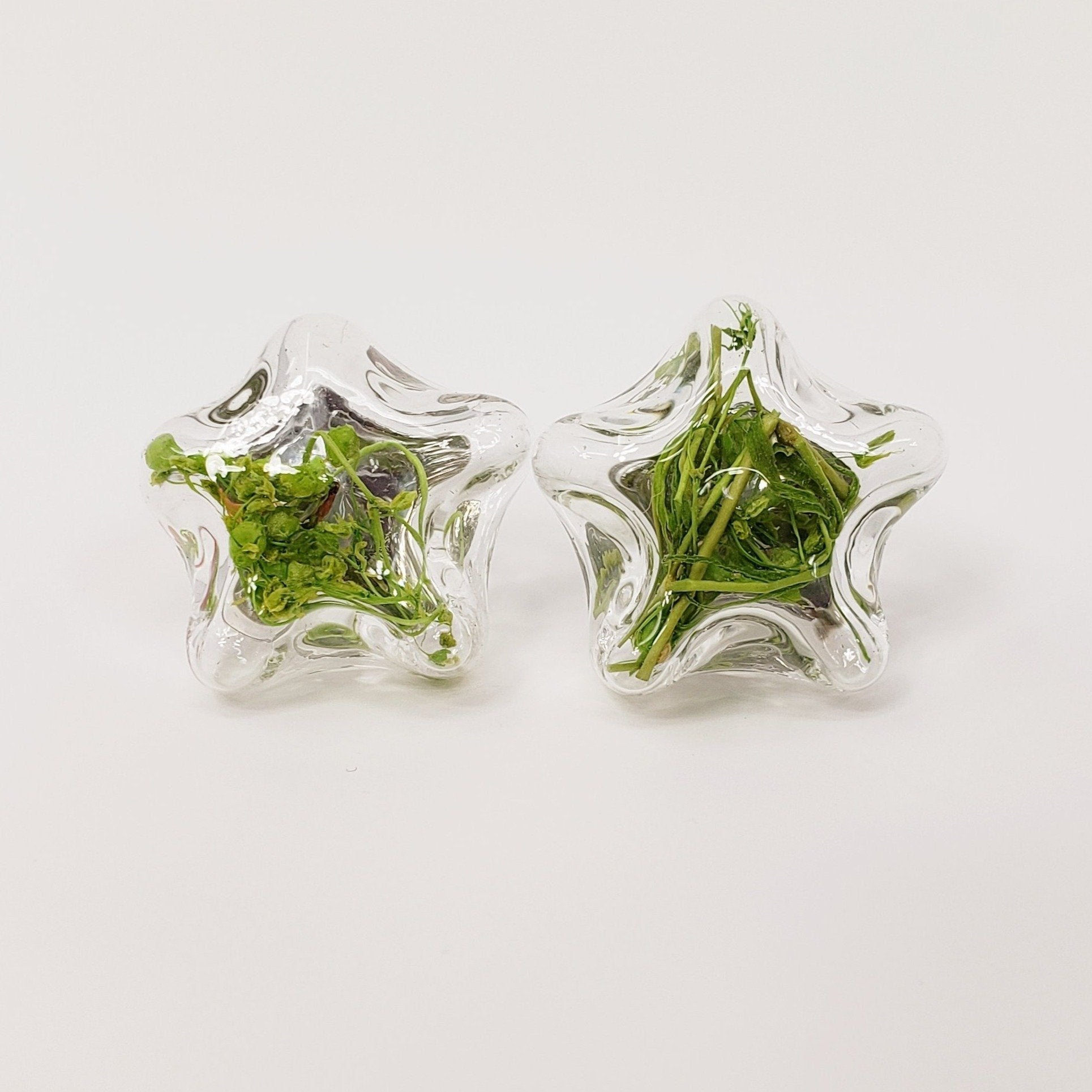 Handmade Transparent Glass Globe Bubble Ear Post Stud Earrings Stars Green Flower - My Custom Tee Party
